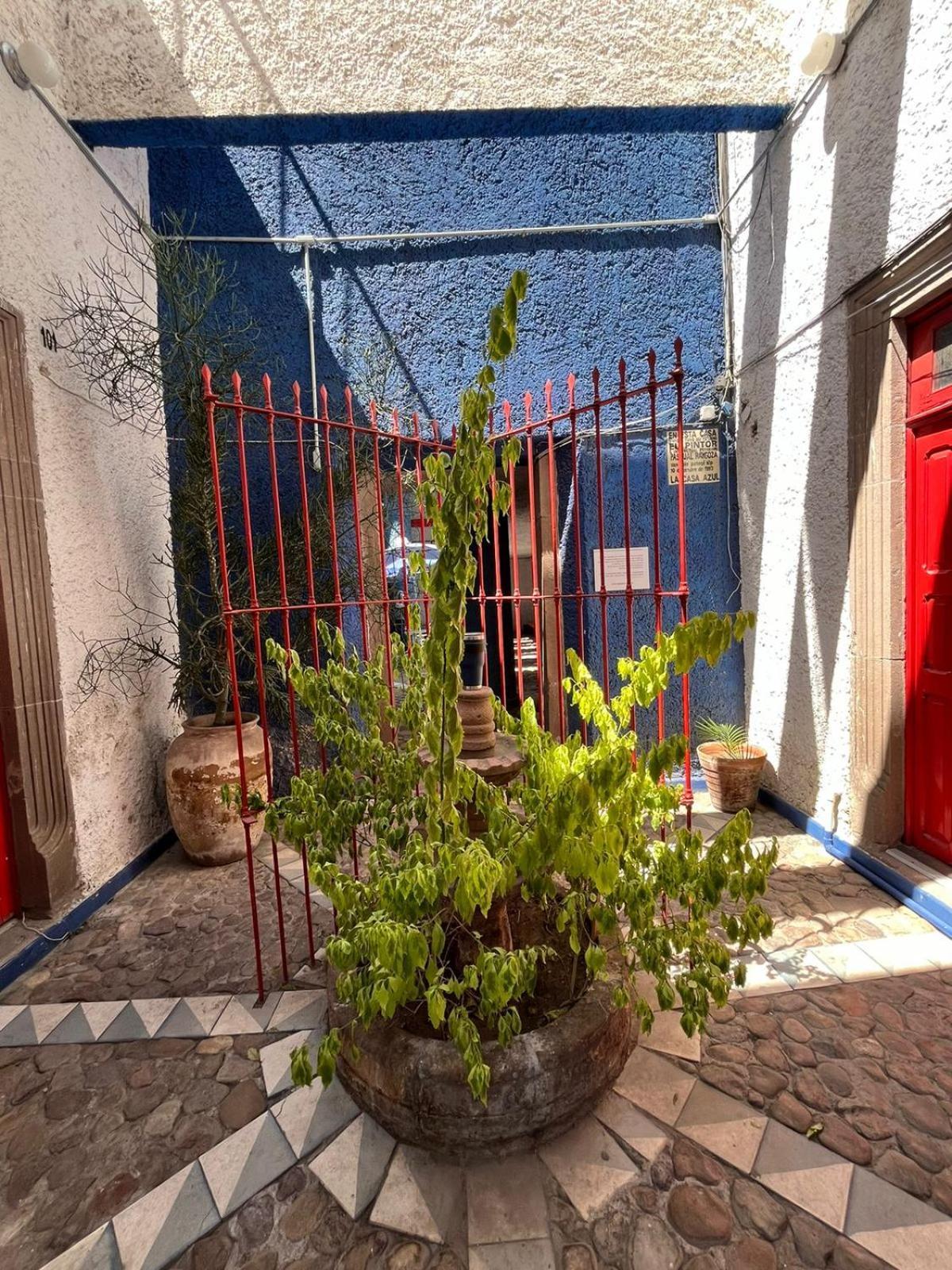 Lofts En Casa Azul Centro De Slp - Inmotega Apartamento San Luis Potosí Exterior foto